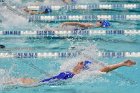 Swimming & Diving vs RWU  Swimming & Diving vs Roger Williams University. - Photo by Keith Nordstrom : Wheaton, Swimming